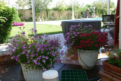 Apartamento Villamercedes Estudio 5