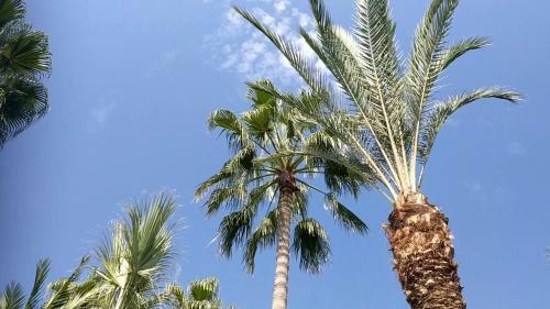 Fantastic 1 Bed Apartment Opposite 4 Seasons Limassol