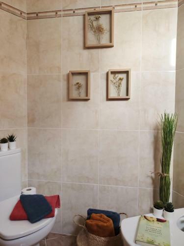 Apartamento L'attic, Reserva Biosfera - Terres de L'ebre