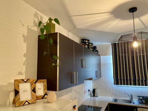 Fat Cow Apartment 102