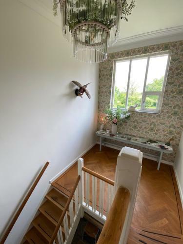 Bed & Breakfast Gastenverblijf De Korenhorst