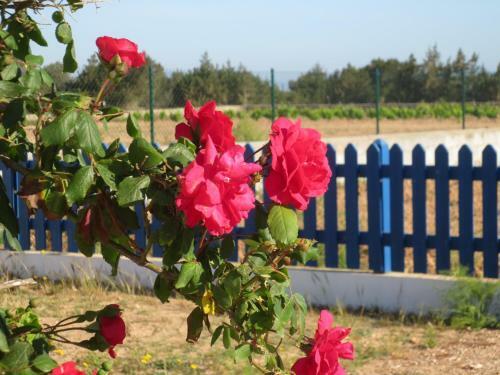 Casa Rural Ideal Para Parejas - Formentera