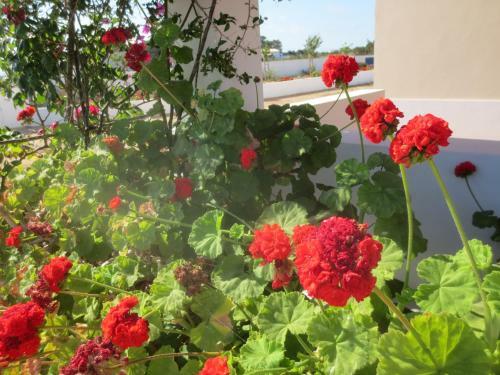 Casa Rural Ideal Para Parejas - Formentera