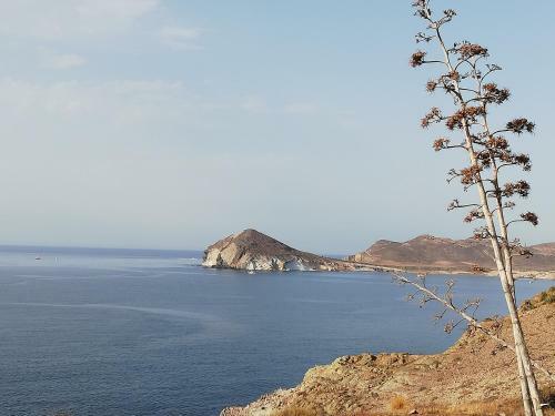 Apartamento El Faro de Los Genoveses