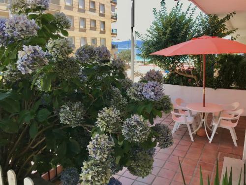 Apartamento Sanxenxo Playa Silgar 30m