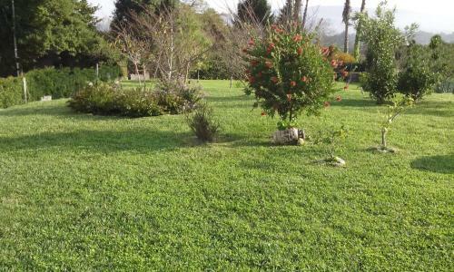 Apartamento Mariarosa Sol