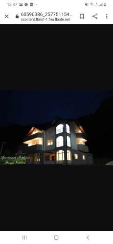 Apartmani Petkovic