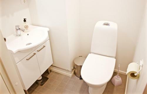 Apartamento Lapland Happiness Skistar 201