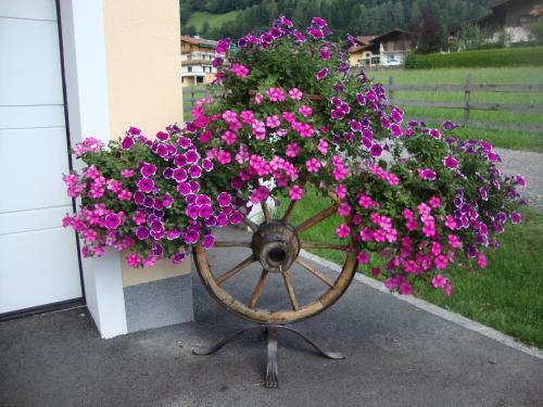 Apartamento Haus Schnepfleitner
