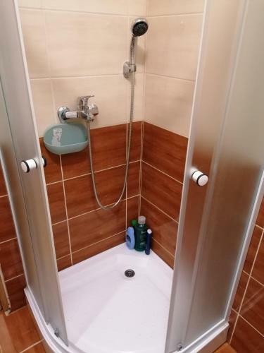 Studio Apartman Paradise