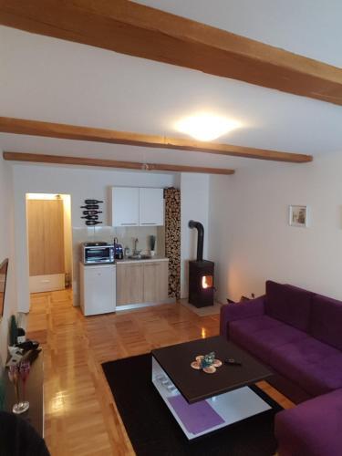 Studio Apartman Paradise
