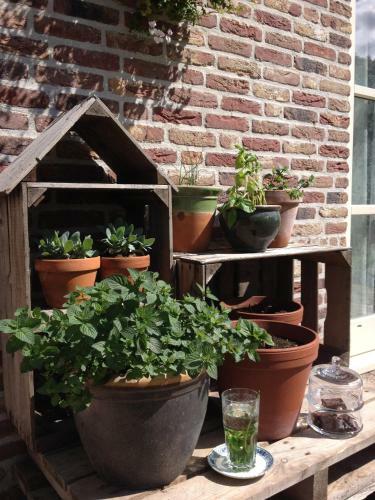 Hotel Hof Van Renesse / Pension Lockershof