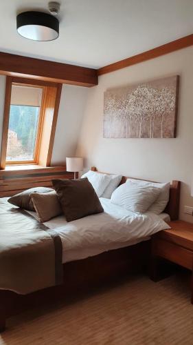 Apartment B513
