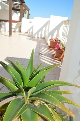 Apartamento Whiteroseapartment Penthouse Kapparis