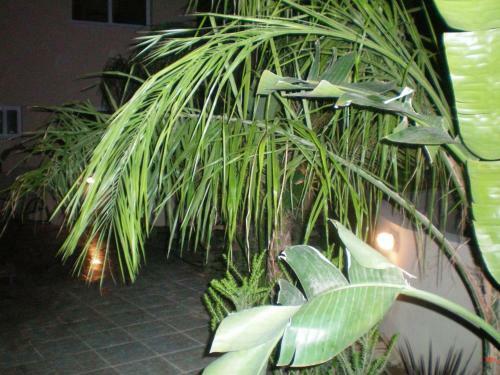 Excellent 2 Bed Apartment With Pool View, AC & Gym!