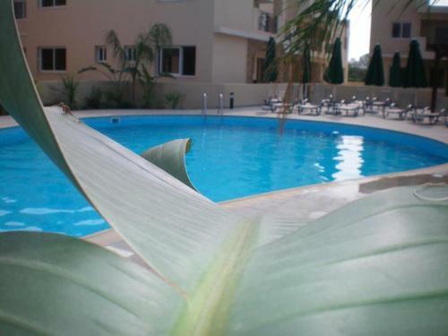 Excellent 2 Bed Apartment With Pool View, AC & Gym!
