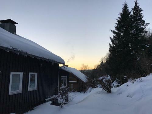 Apartamento Altes Forstamt Altenau