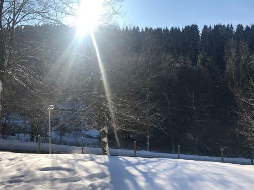 Apartamento Altes Forstamt Altenau