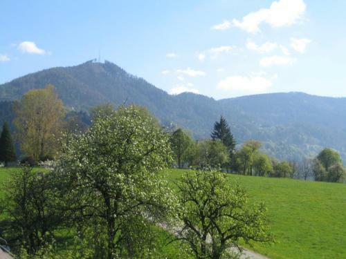 Agroturismo Ferienhof Karin Und Florian Gressenbauer
