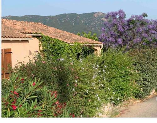 Apartamento Chiovarella