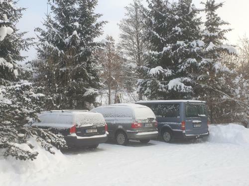 Apartm�ny Rychta?�kovi