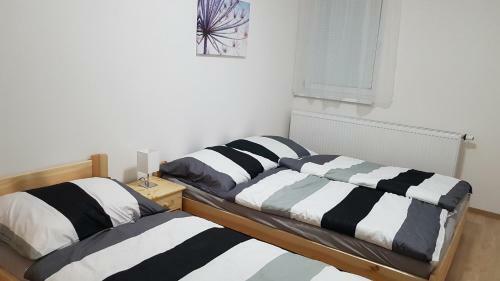 Apartm�n Alfa 11