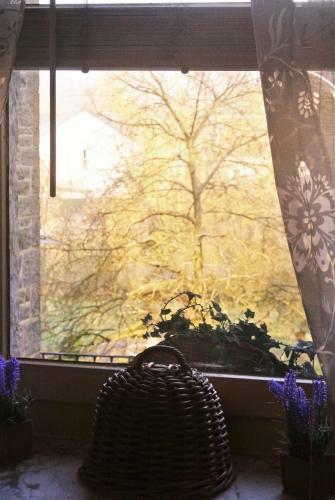 Apartamento Appartment/g�te-view On Garden