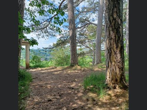 Apartamento Enjoy Durbuy 4