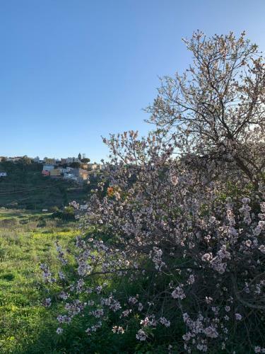 El Sosiego, Der R�ckzugsort