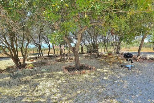 Finca Son Matet, Santa Eugenia 508