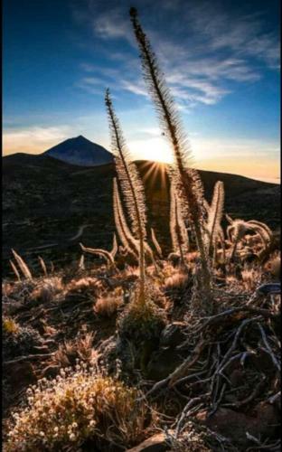 Apartamento Casa Rural Tenerife Norte
