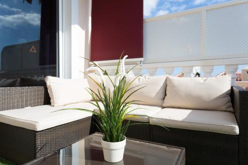 Apartamento Unique Buenavista