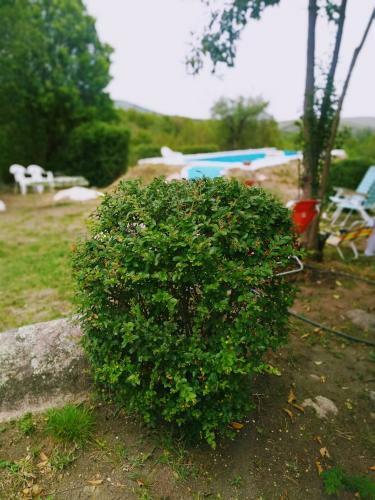 Casitas de Monta�a En Traslasierra 4