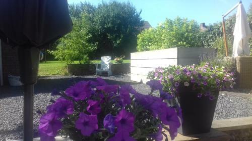 Bed & Breakfast Slapen & Smullen