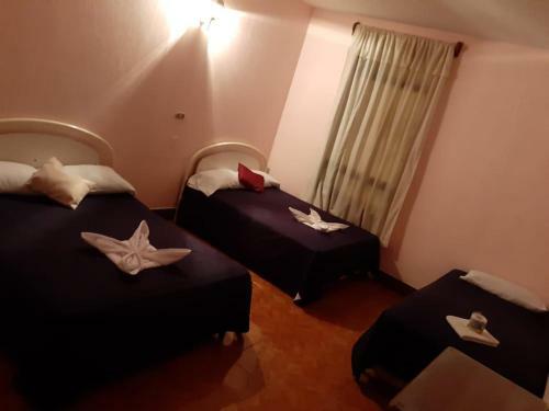Hotel Posada Del Centro