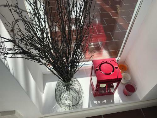 Forget Me Not Apartment Boutique Sitges