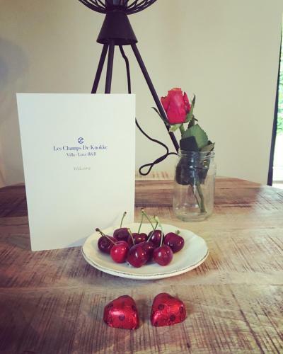 Bed & Breakfast Villa Les Champs de Knokke