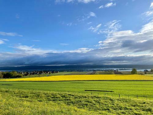 Apartamento Sleep In Style At Beautiful Lake Constance
