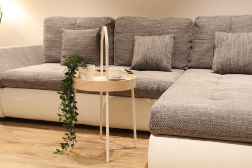 Mountain Oasis Apartment Kandersteg-adelboden