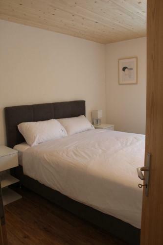 Mountain Oasis Apartment Kandersteg-adelboden