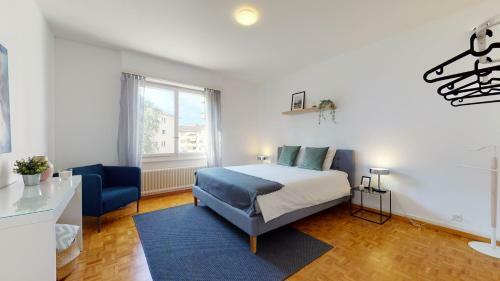 Magnificent Apartment With Balcony In Lausanne