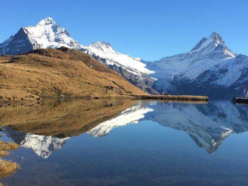 Apartamento Chalet Verbrunnenhaus Grindelwald