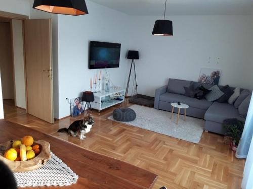 Apartments With A Parking Space Makarska - 16851