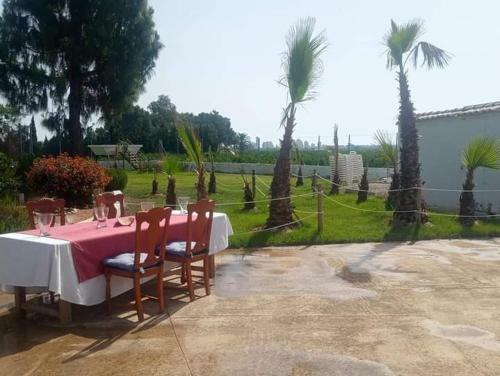 Finca A Las Estrellas Tavernes Valldigna
