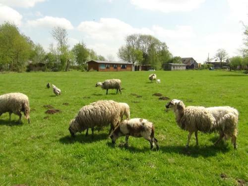 Bed & Breakfast Buitenplaats De Blauwe Meije