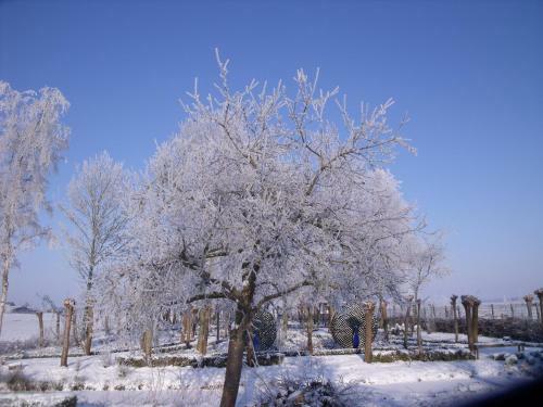 Bed & Breakfast Buitenplaats De Blauwe Meije