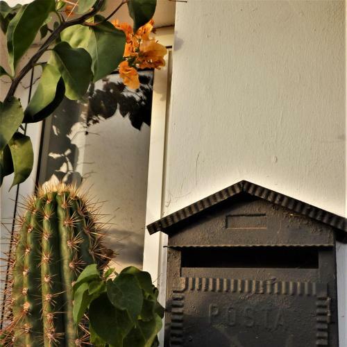Bed & Breakfast Ancones Lejanos Guesthouse