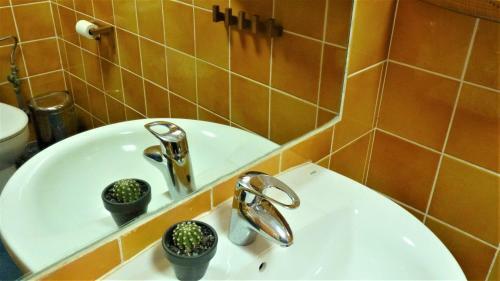 Bed & Breakfast Ancones Lejanos Guesthouse
