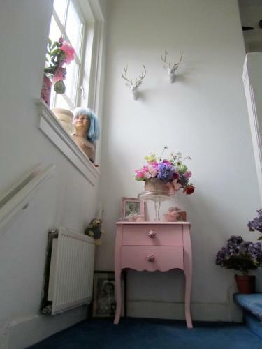Bed & Breakfast B & B Aan 't Volkspark