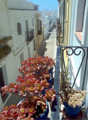 Apartamento Acogedor Estudio En Casco Antiguo